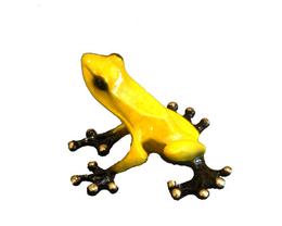 Frogman's 